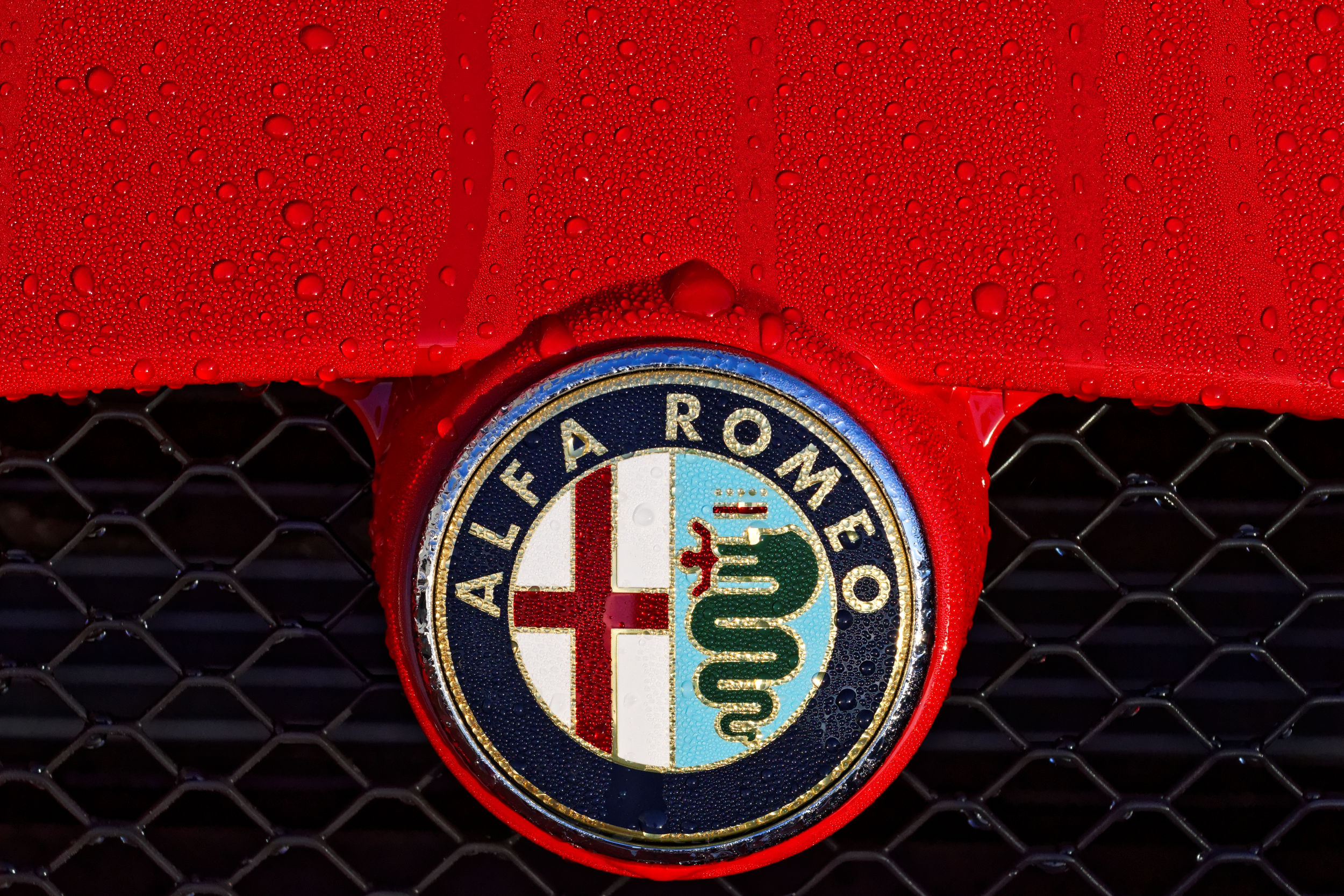 141105-Alfa Romeo (9)-2