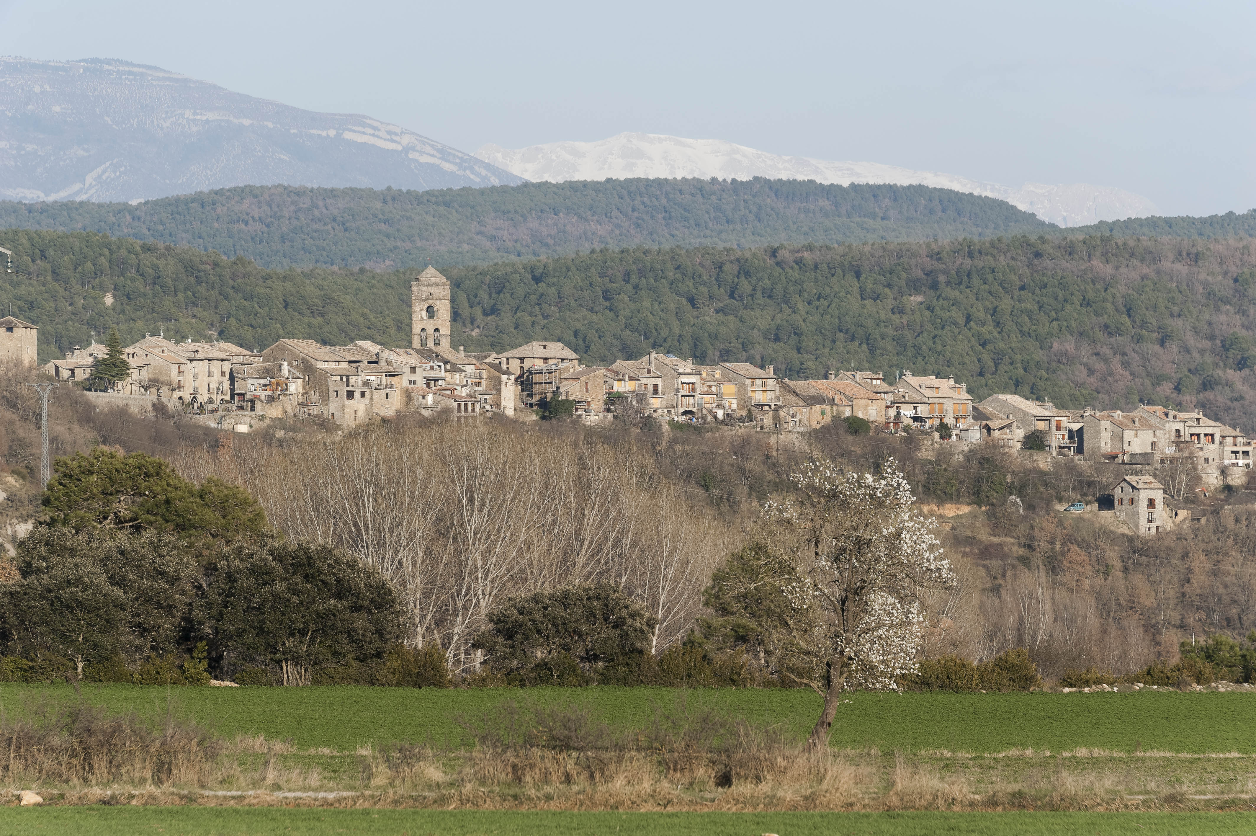 5824_en bas d'Ainsa (Sobrarbe Aragon)