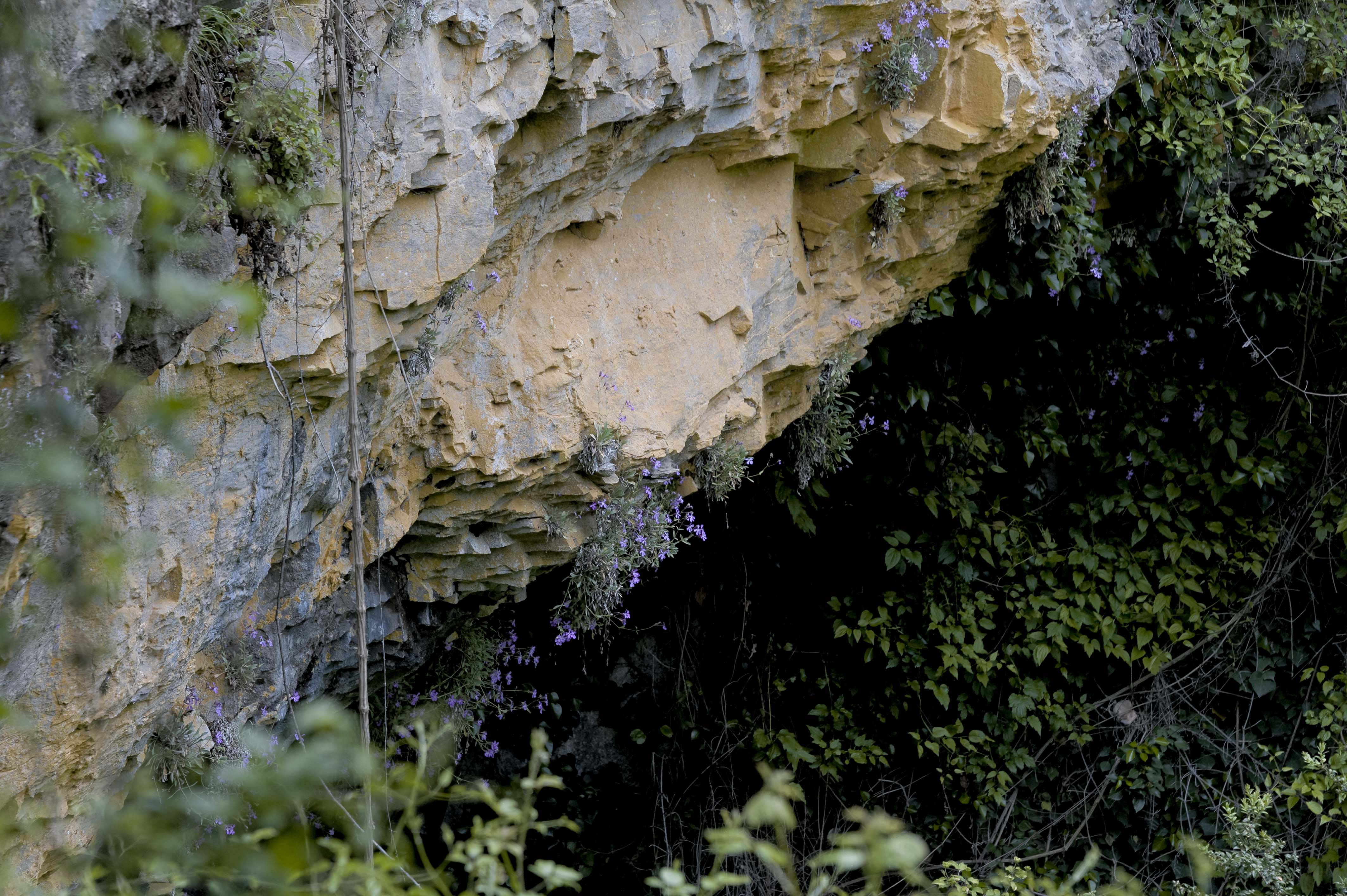 6586_Canyon d'Anisclo (Sobrarbe)