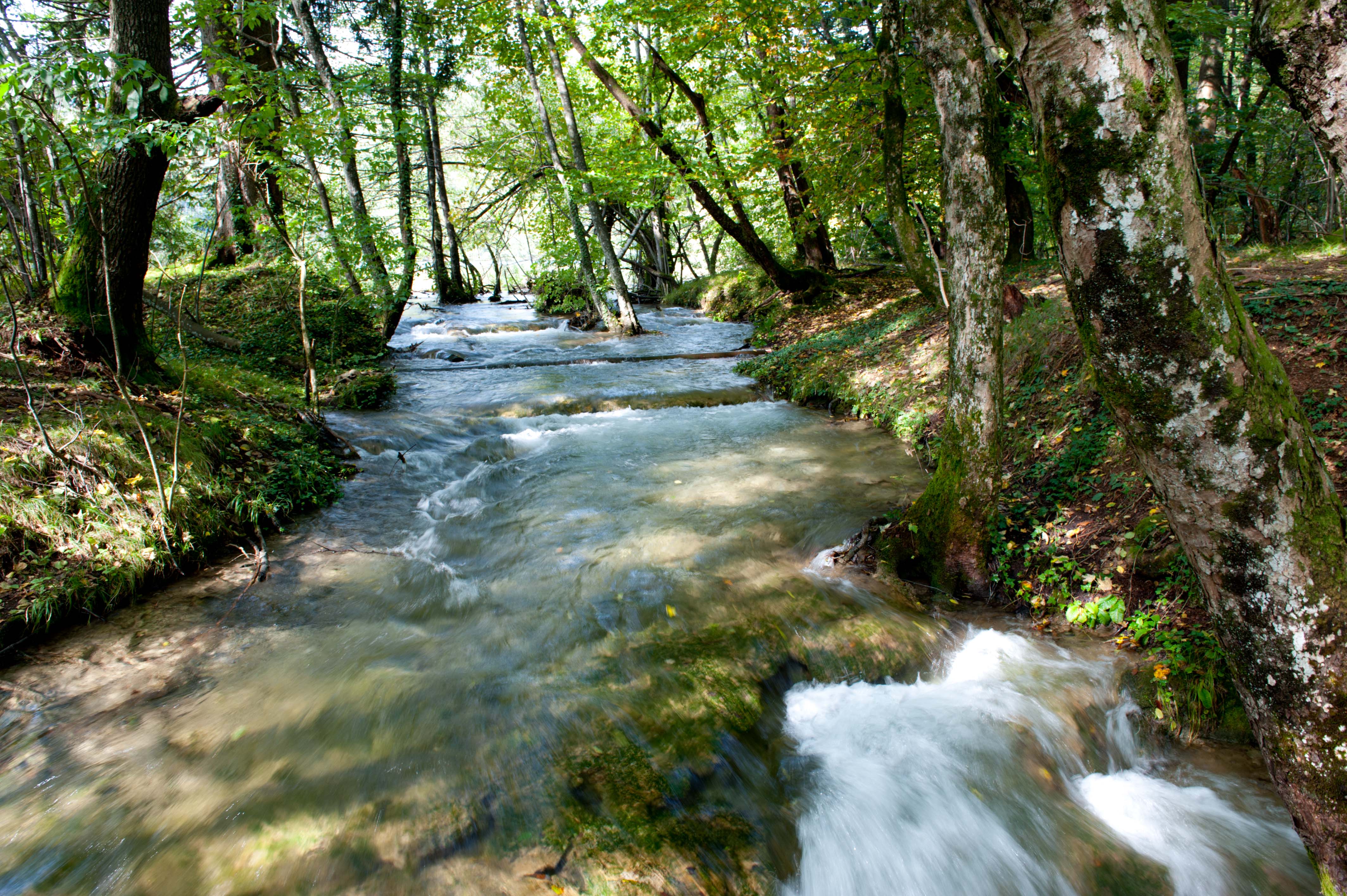 0515-Parc national lacs de Plitvice (Lika-Croatie)