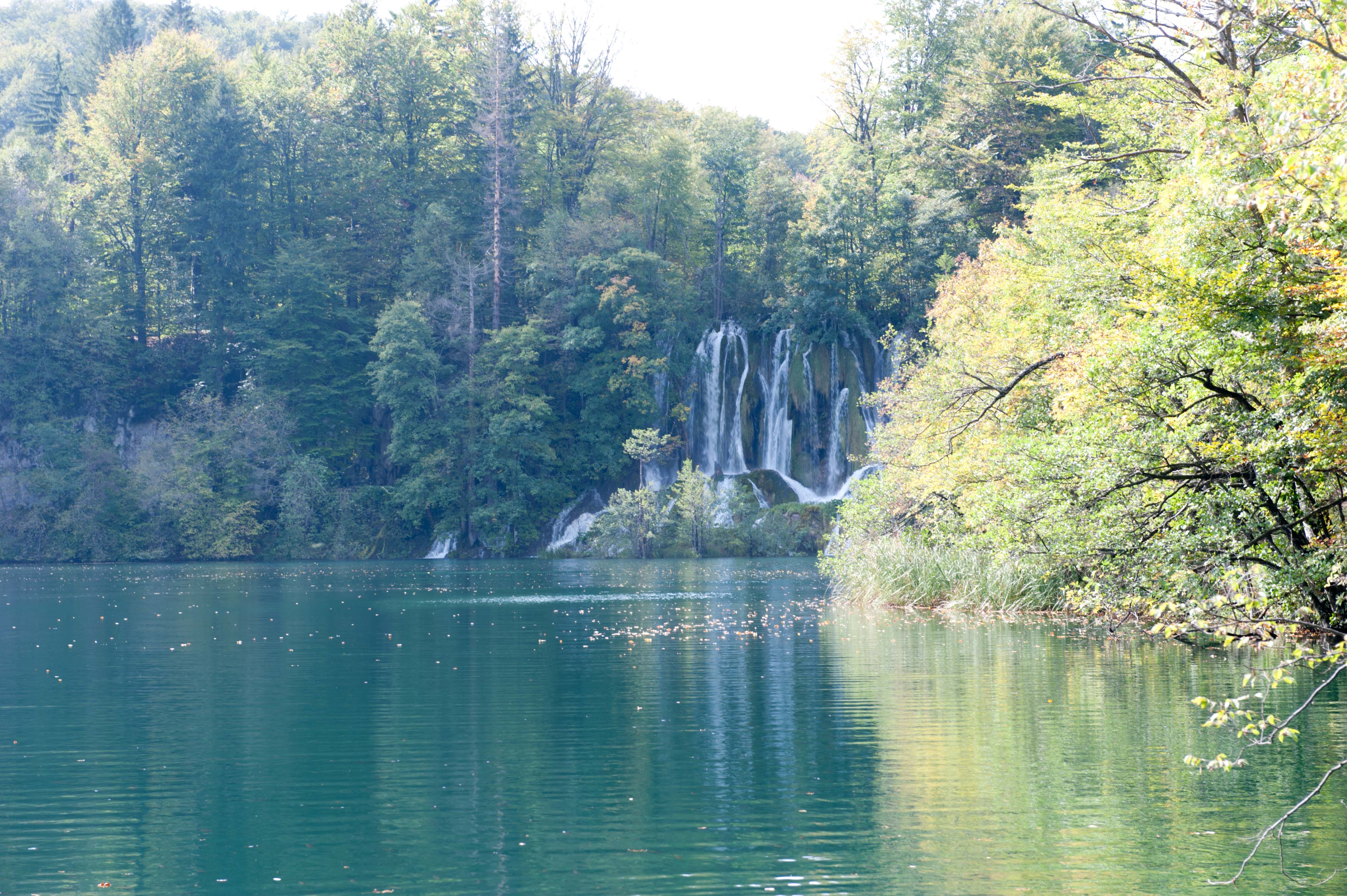 0527-Parc national lacs de Plitvice (Lika-Croatie)
