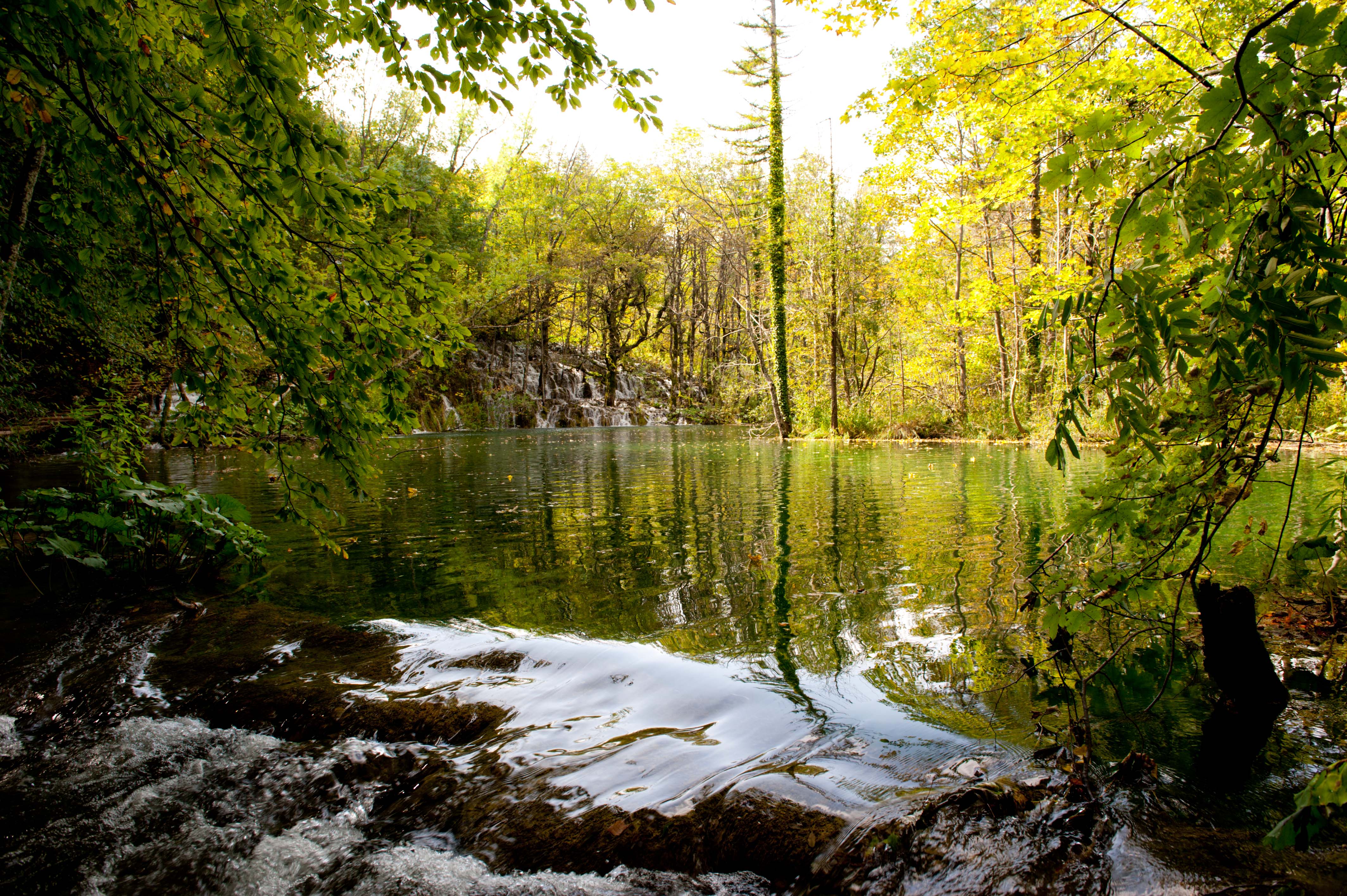 0586-Parc national lacs de Plitvice (Lika-Croatie)
