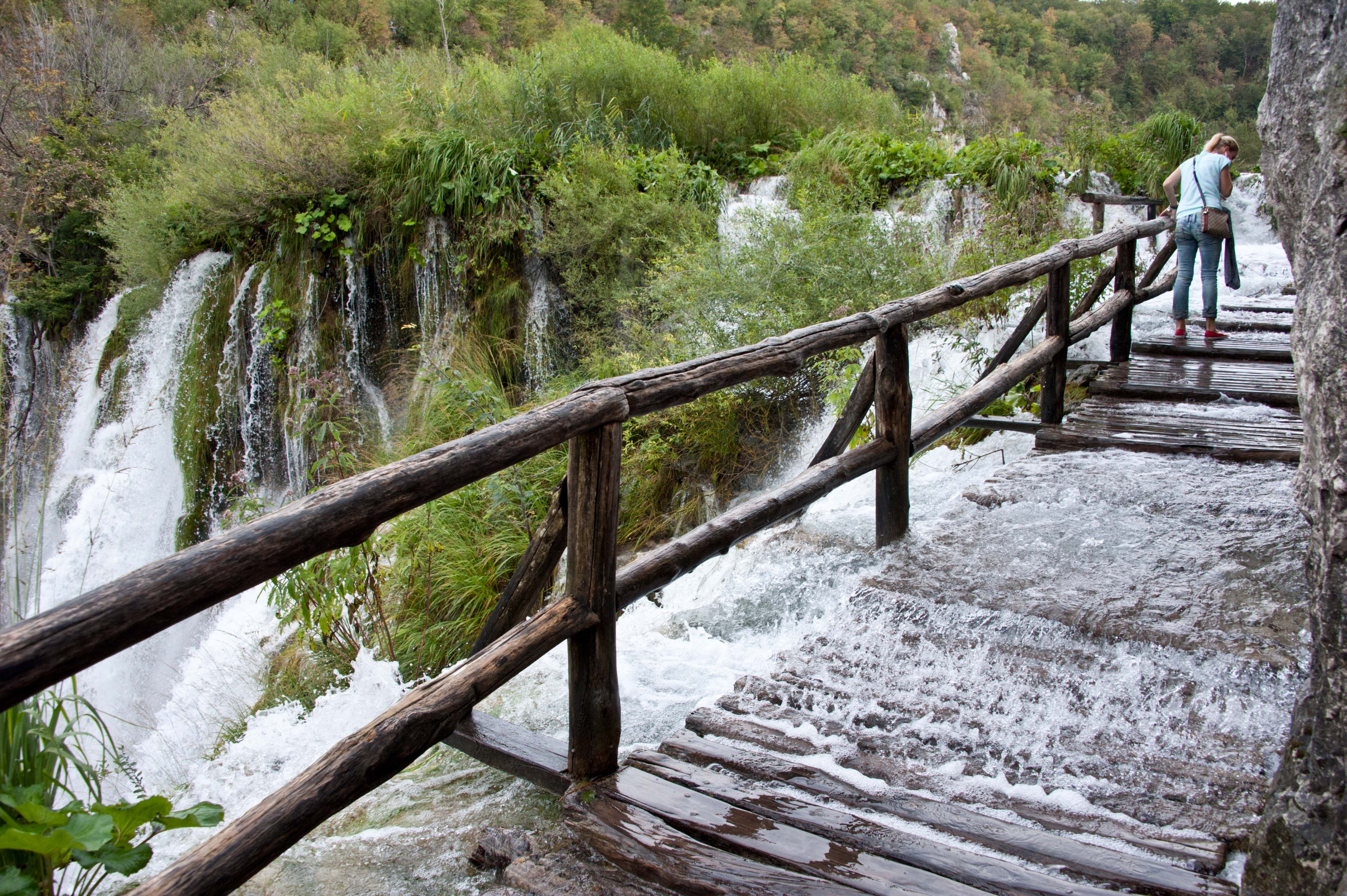0630-Parc national lacs de Plitvice (Lika-Croatie)