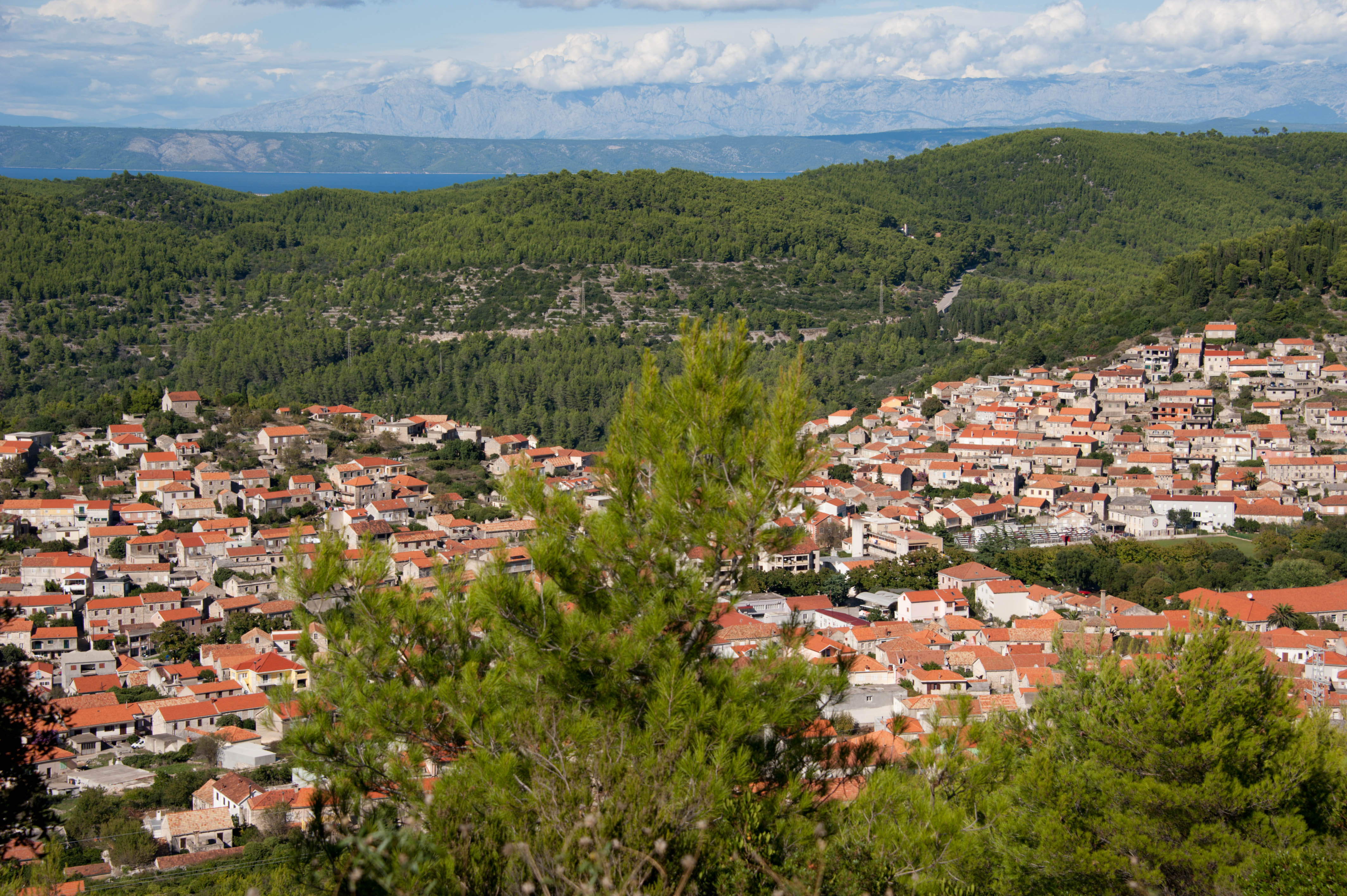 9925-Blato - ile Korcula (Sud Dalmatie)