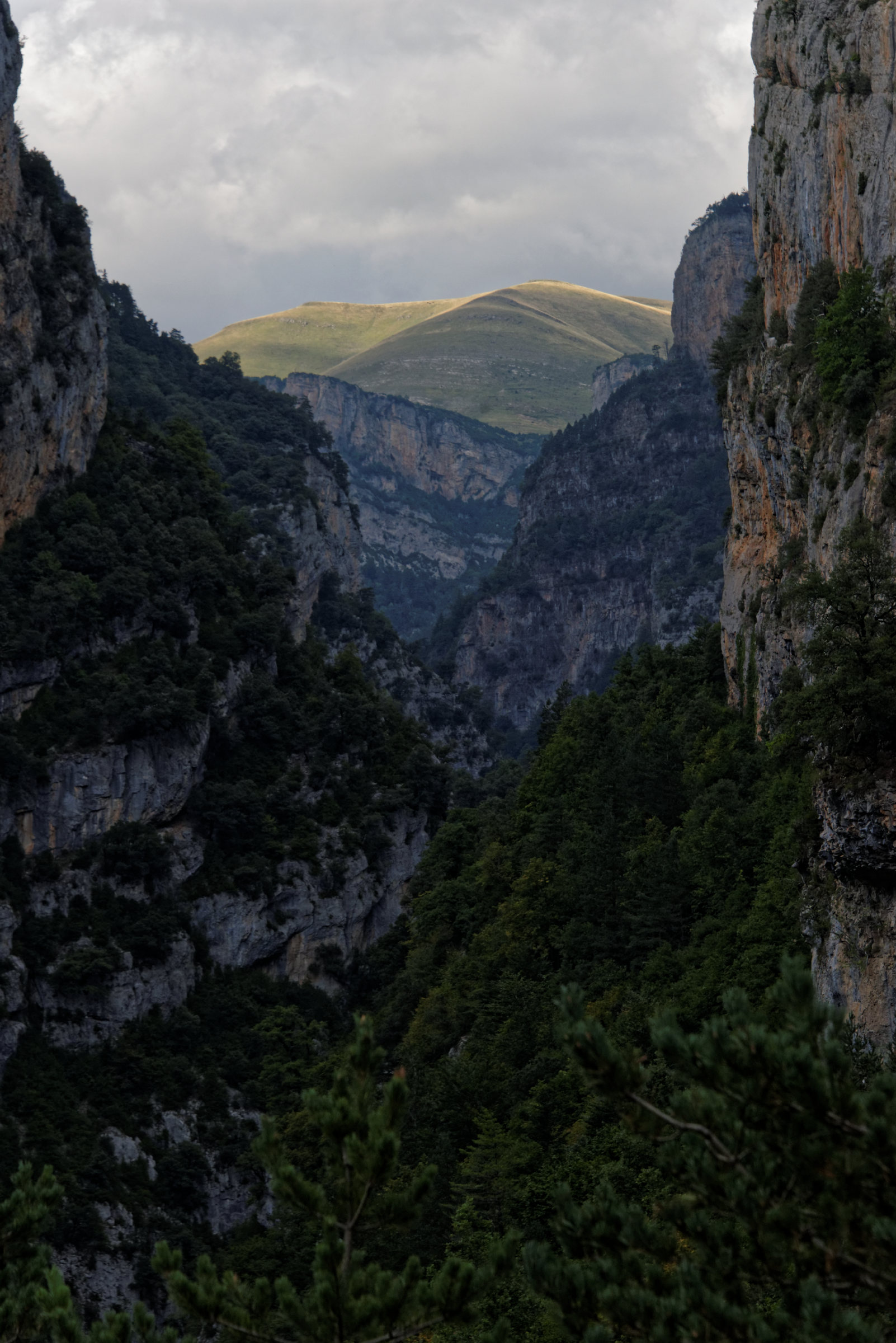 150823-Canyon d'Anisclo (Sobrarbe) (30)