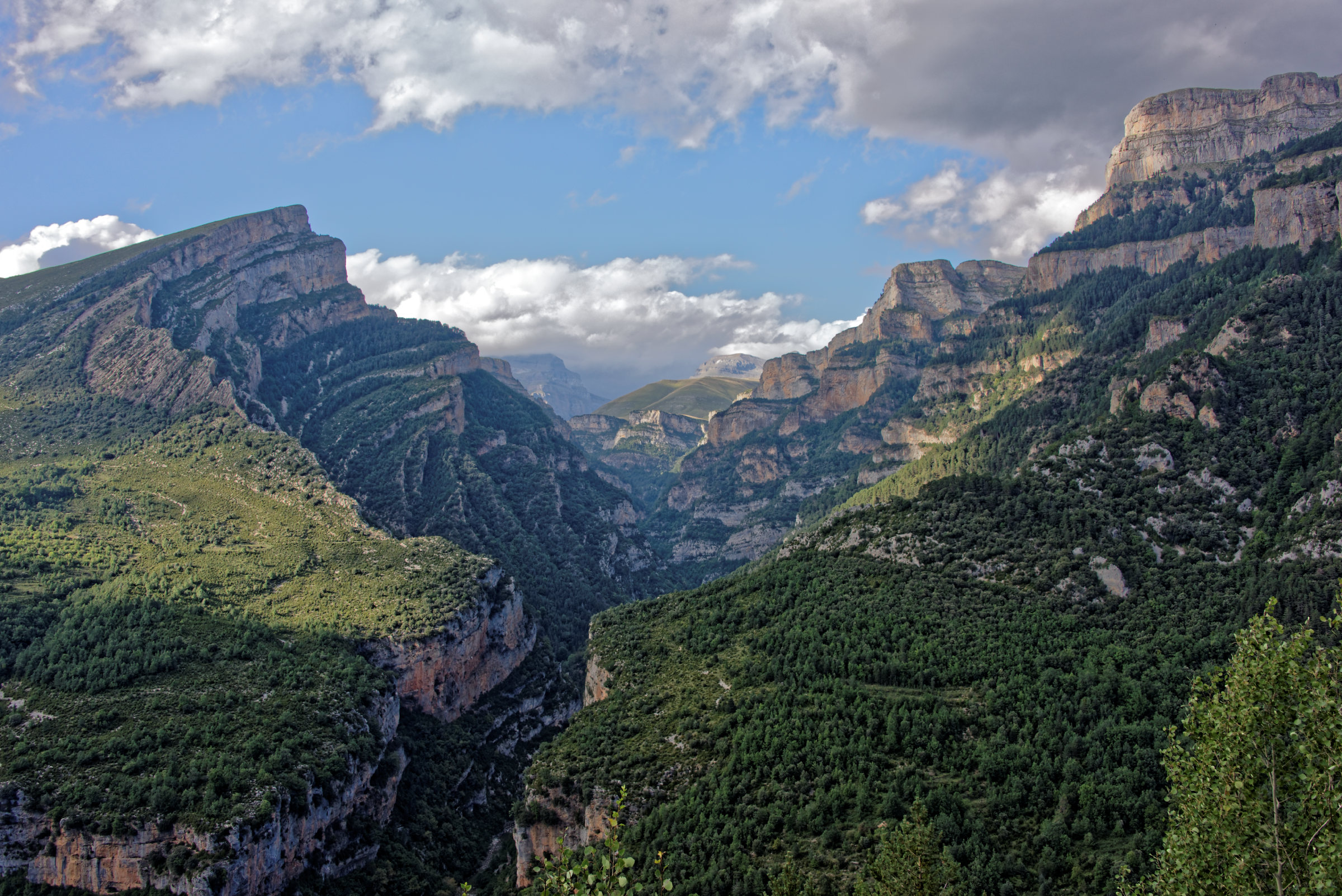 150823-Canyon d'Anisclo (Sobrarbe) (43)
