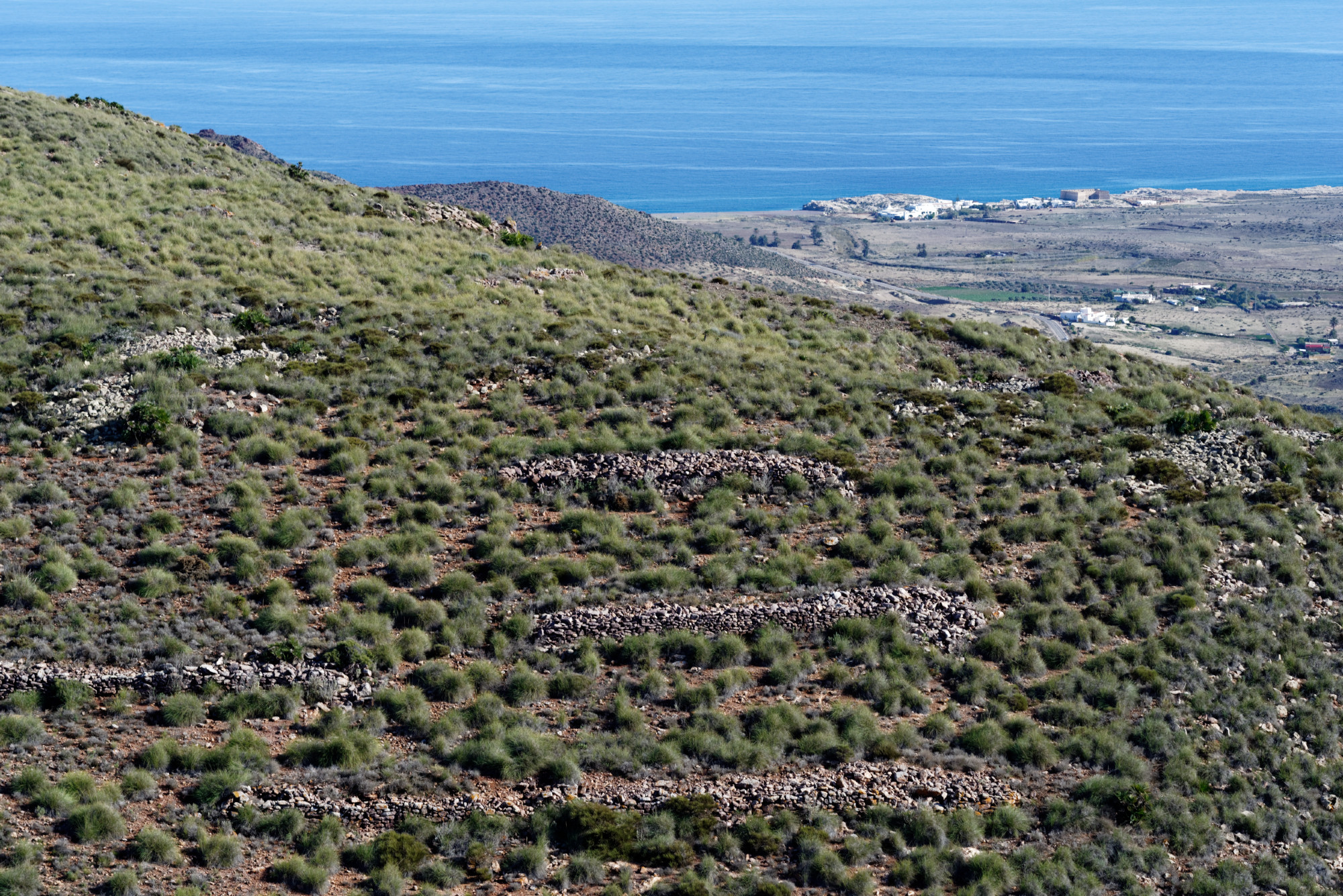 171212-Marche La Boca de los Frailes vers Cerro de Limones (52) (Cabo de Gata-Andalousie)