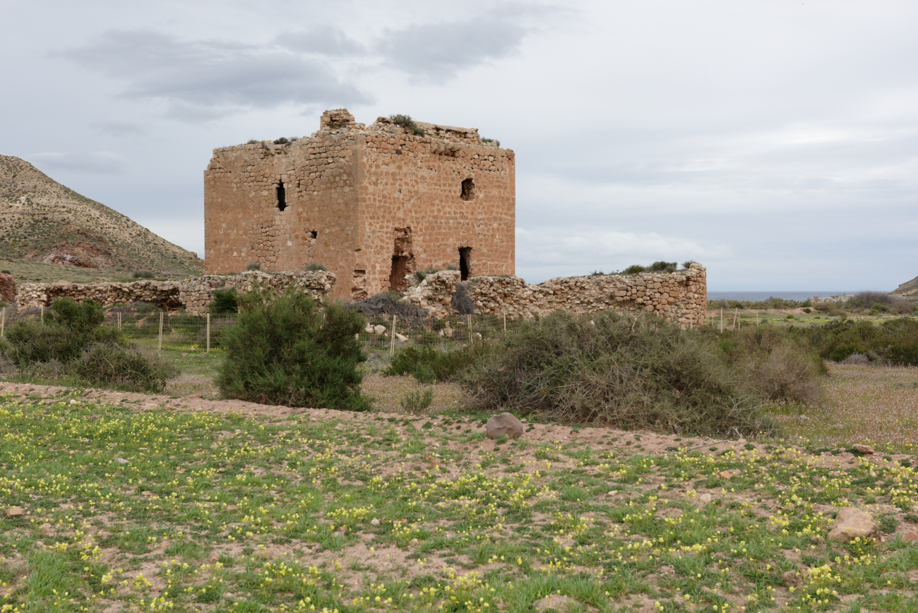 180315-1-Torre de los Alumbres (Cala del Playazo-Cabo de Gata) (12)