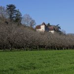 160319-Château de Goudou (Allas les mines - Périgord noir) (10)