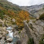 201010-(168) Cascades Cinca et La Larri (Aragon-Sobrarbe)