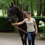 150702-Dax Courses de chevaux (103)