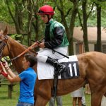 150702-Dax Courses de chevaux (122)