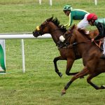 150702-Dax Courses de chevaux (134)