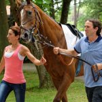 150702-Dax Courses de chevaux (148)