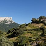 160628-Tella (La montagne dorée) (Sobrarbe-Aragon) (104)