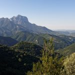 160628-Tella (La montagne dorée) (Sobrarbe-Aragon) (112)