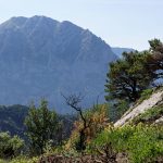 160628-Tella (La montagne dorée) (Sobrarbe-Aragon) (164)