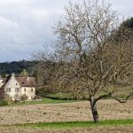 210319-Randonnée autour de Marqueyssac (Dordogne)94
