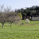 210331-(116) Randonnée Boucle de Montfort (Dordogne)
