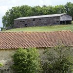 210523-(190) de Castelnaud à Veyrines de Domme (Périgord noir)