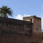 211227-(154) Alhambra de Grenade (Andalousie)