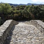 220823-(193) Puente roman de Roda Isabena (Ribagorza - Aragon)